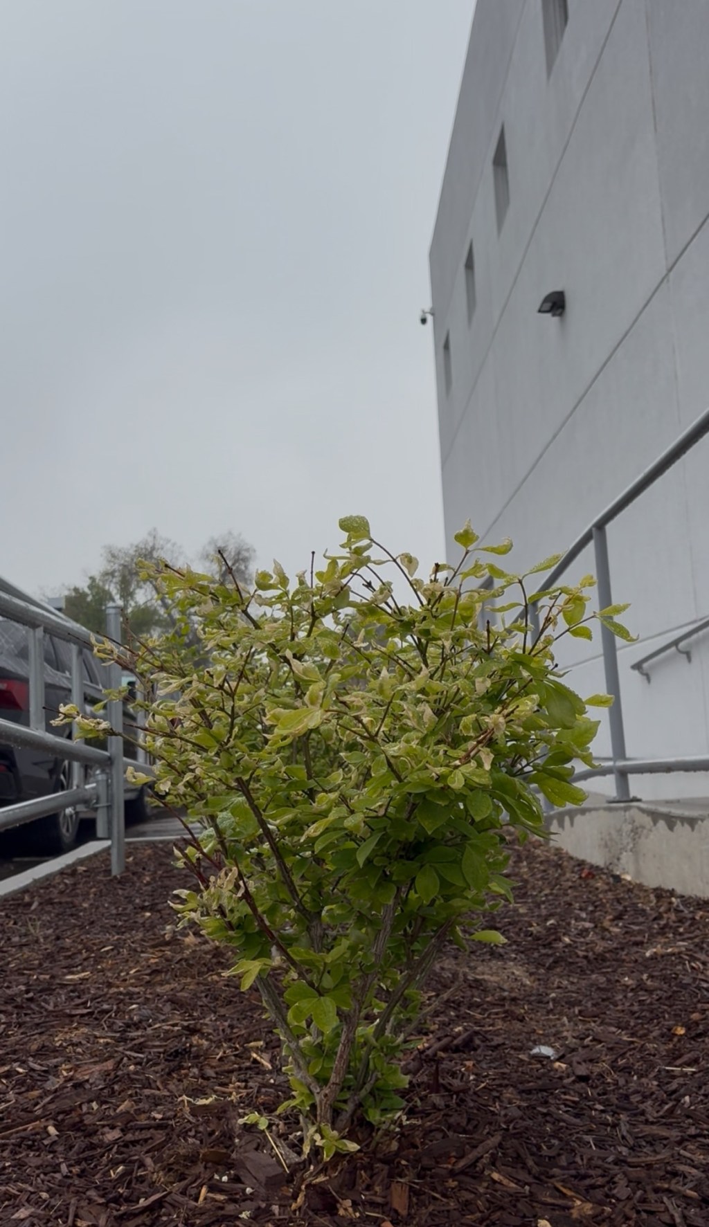 April Showers bring…life.